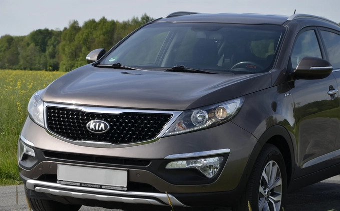 Kia Sportage cena 62500 przebieg: 89801, rok produkcji 2015 z Sompolno małe 781